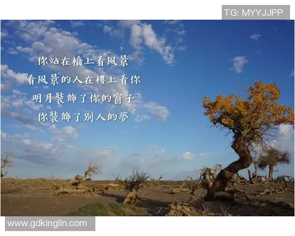 王强谈网球生涯:从青涩少年到职业选手的心路历程与成长故事