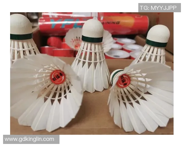 羽毛球装备选购指南及必备训练器材推荐助你提升技术水平